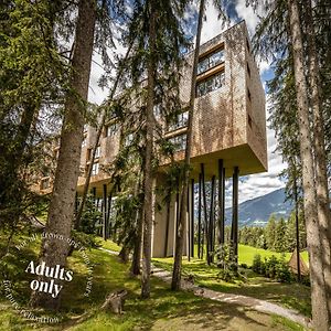 My Arbor - Dolomites